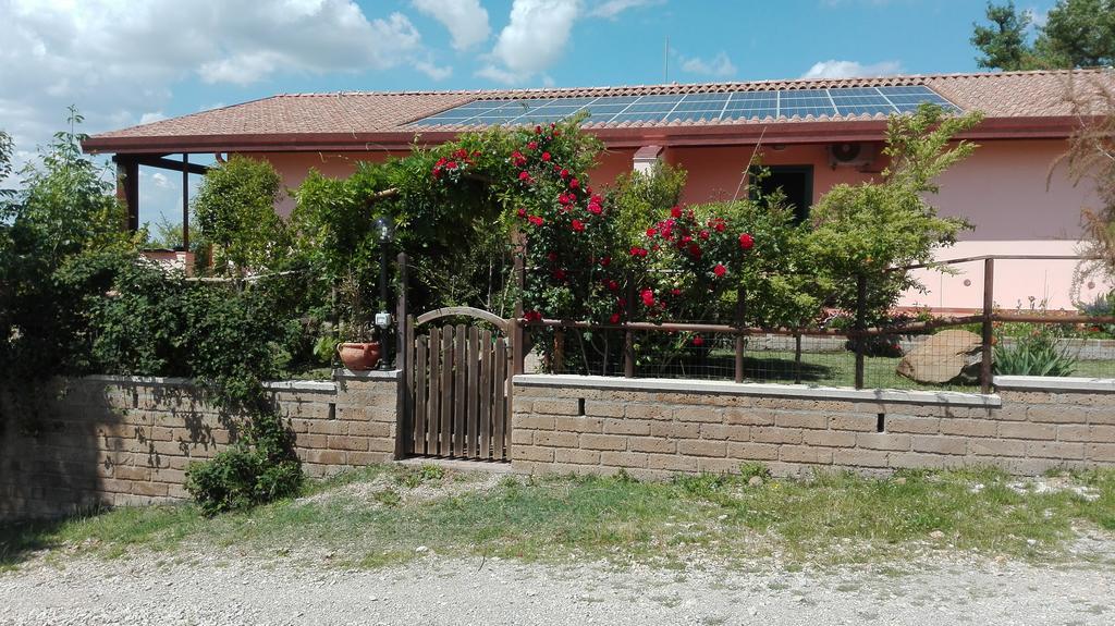 Ferienwohnung Agriturismo Collelungo Di Maremma Diaccialone Exterior foto