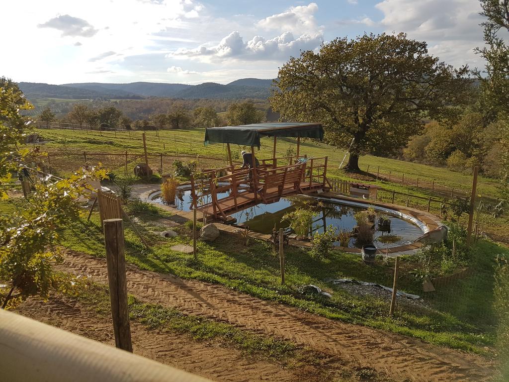 Ferienwohnung Agriturismo Collelungo Di Maremma Diaccialone Exterior foto